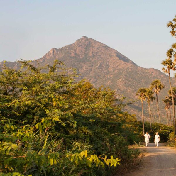 Arunachala